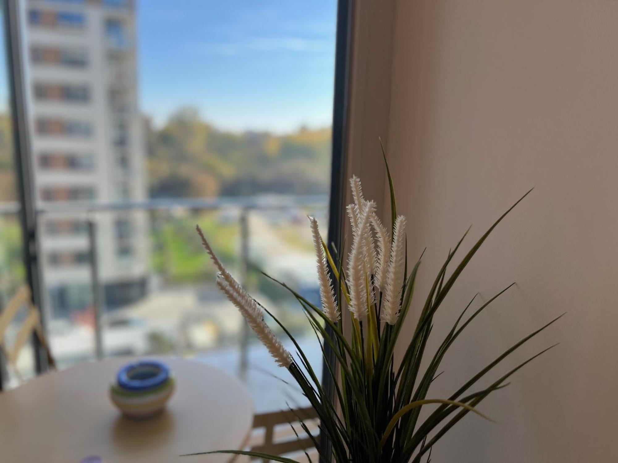 One Apartments Nordone Iulius Town 티미쇼아라 외부 사진